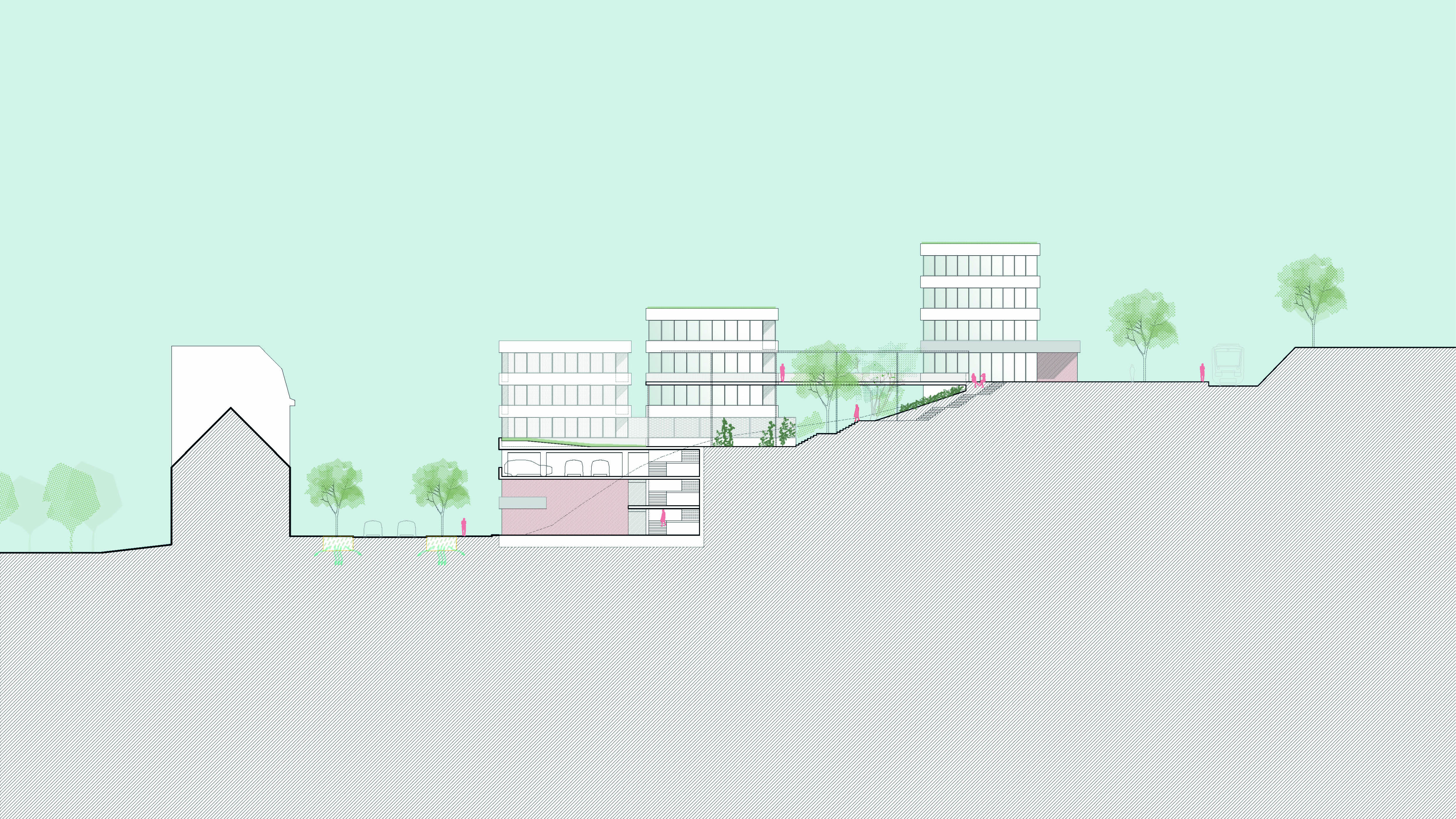 PR_2503_jablonec20.jpg